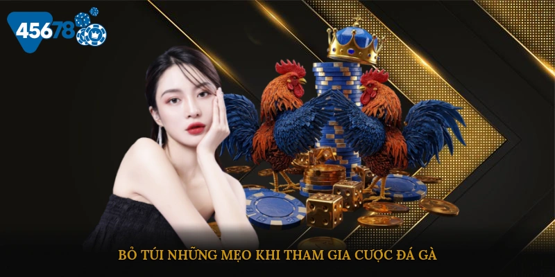 Bỏ túi những mẹo khi tham gia cược đá gà